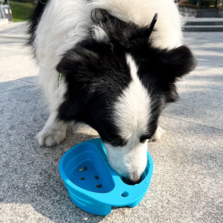 Collapsible Pet Bowl-8"