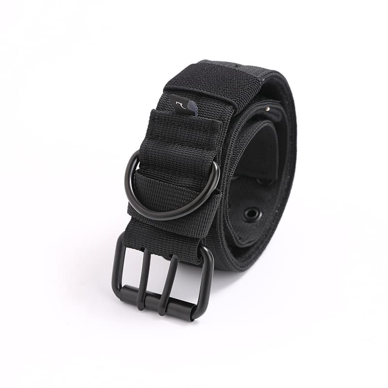 Medium and Large Nylon Dog Collar