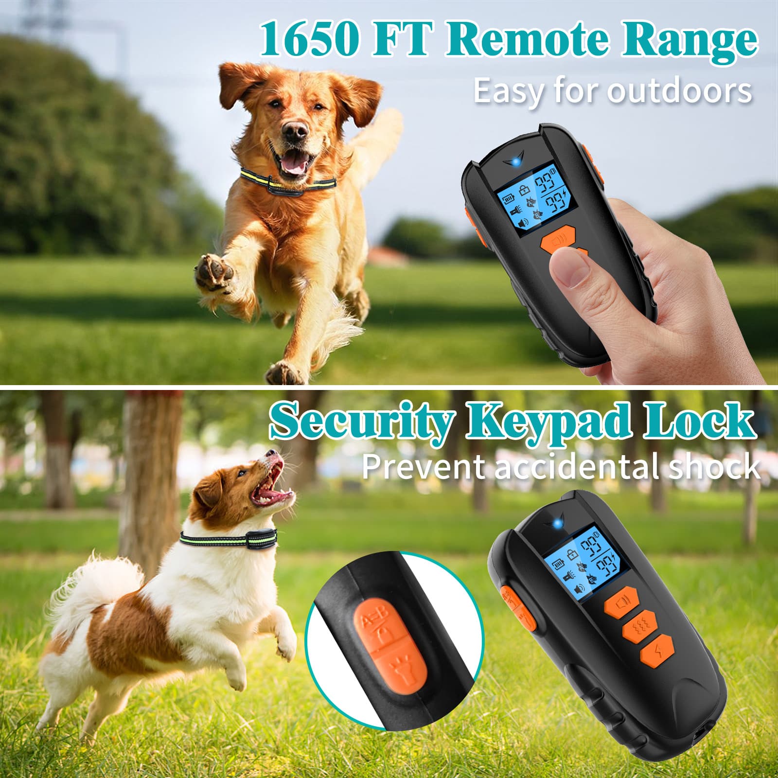 Dog Training Collar with Remote thumbnail 2