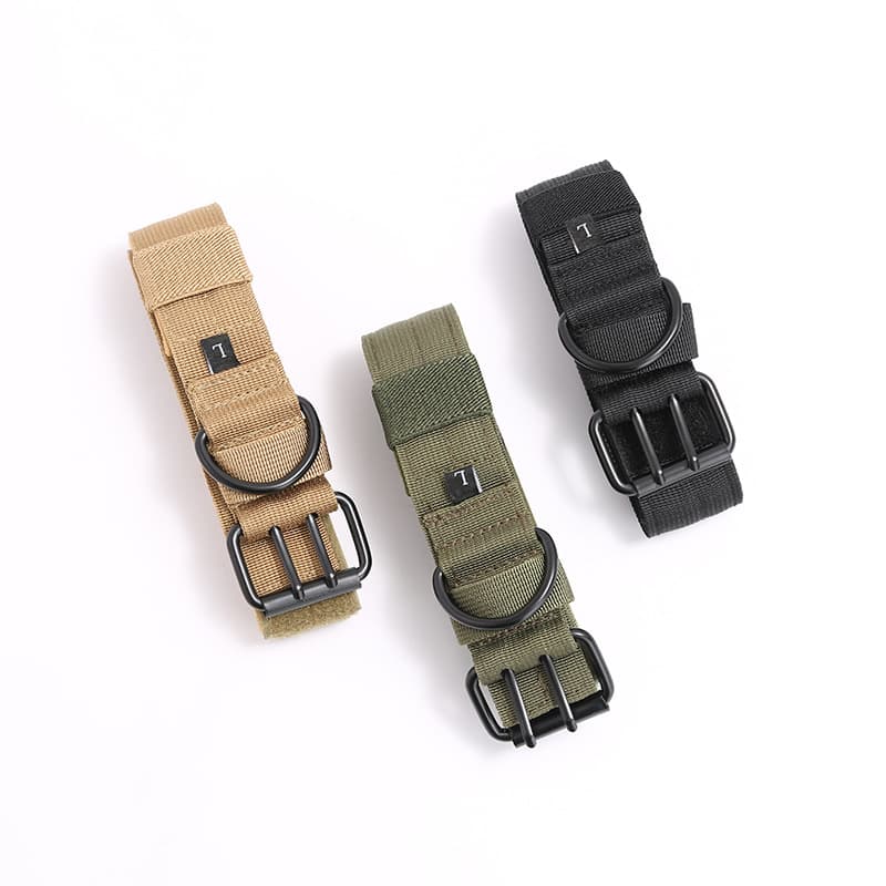 Medium and Large Nylon Dog Collar thumbnail 3