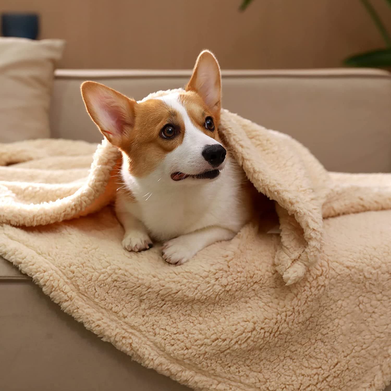 Soft Cozy Fleece Throw Pet Blankets thumbnail 2