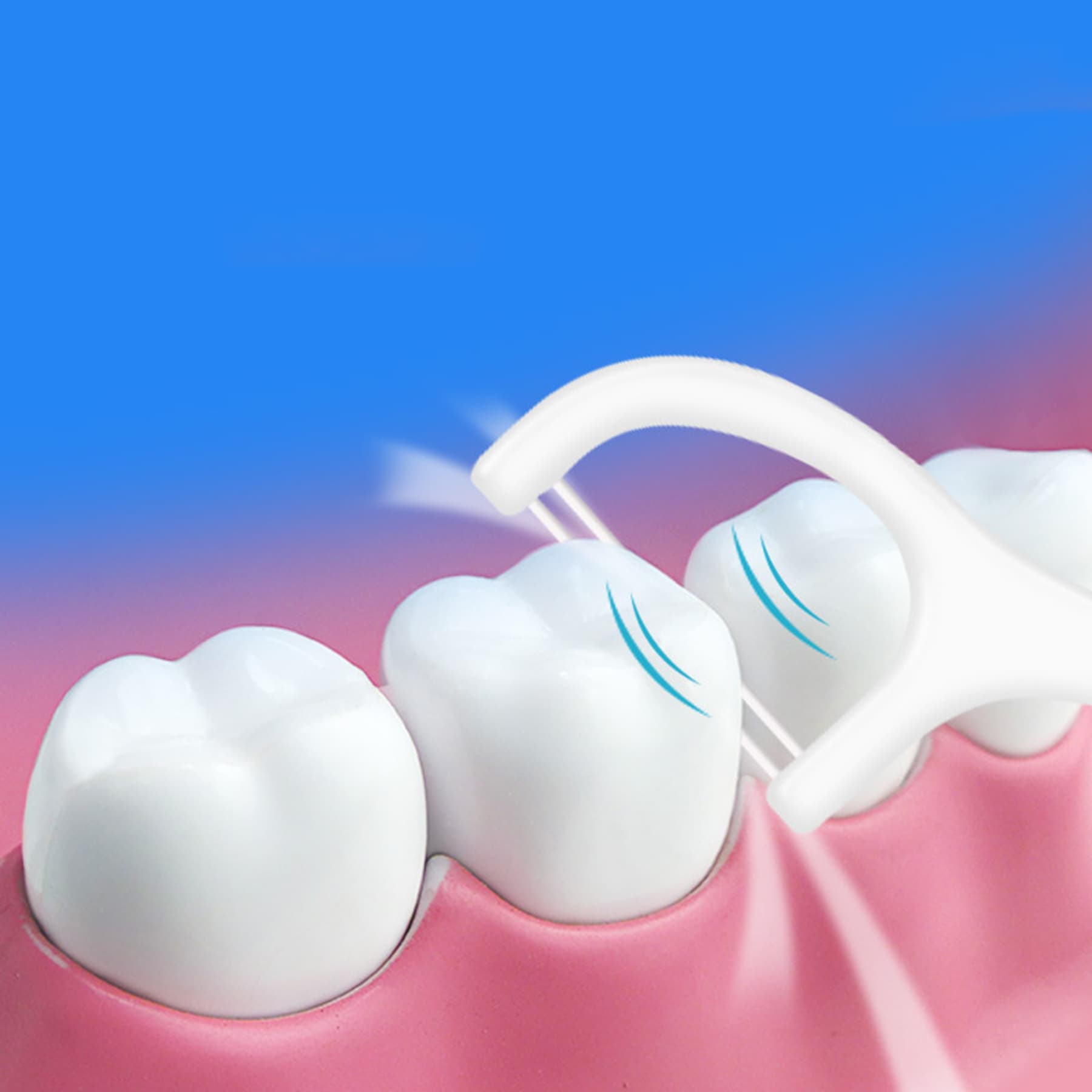 Floss Dental Pick Set