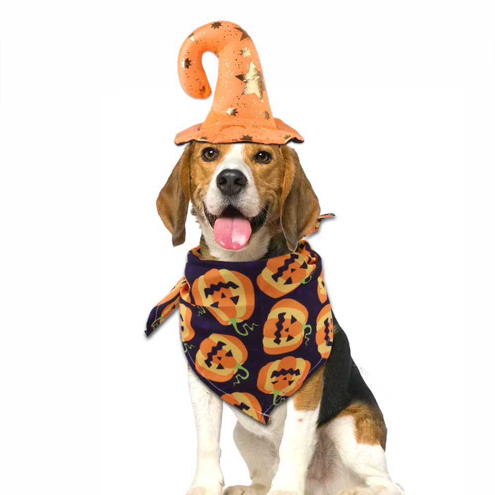Halloween Hat/Scarf Decoration For Pet