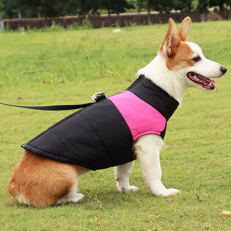 Pet Winter Clothes Waterproof Warm Jacket