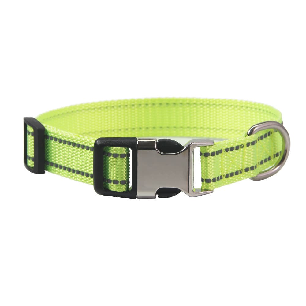 Dog Collar with Metal Buckle thumbnail 2
