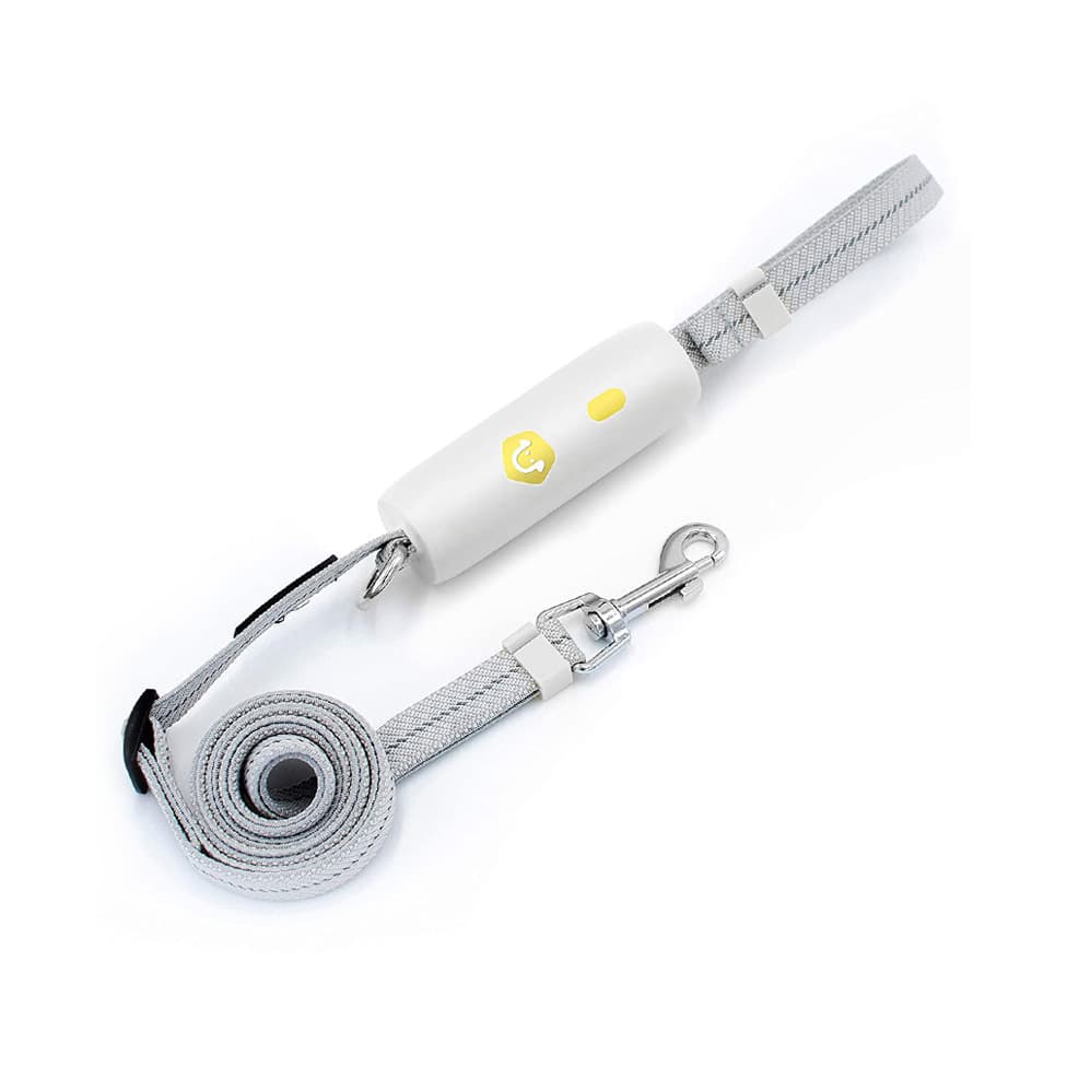 Automotic Dog Pulling Leash