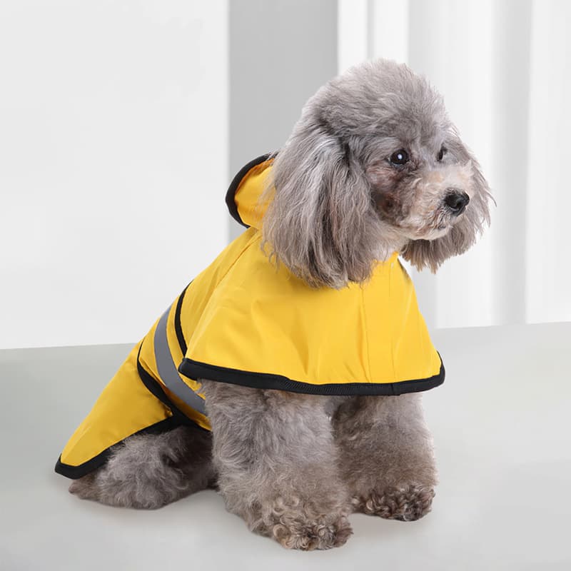 Raincoats For Small Dogs thumbnail 4