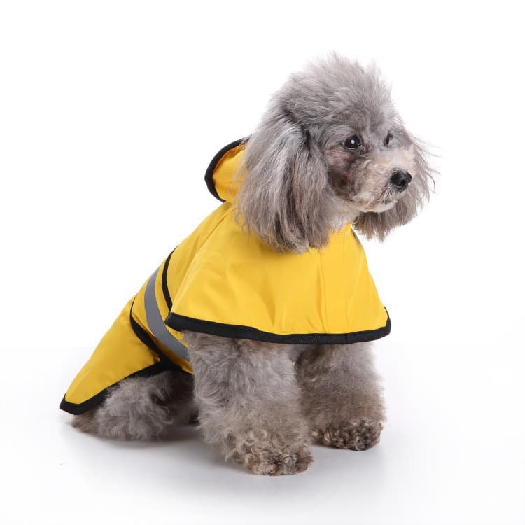 Raincoats For Small Dogs thumbnail 6