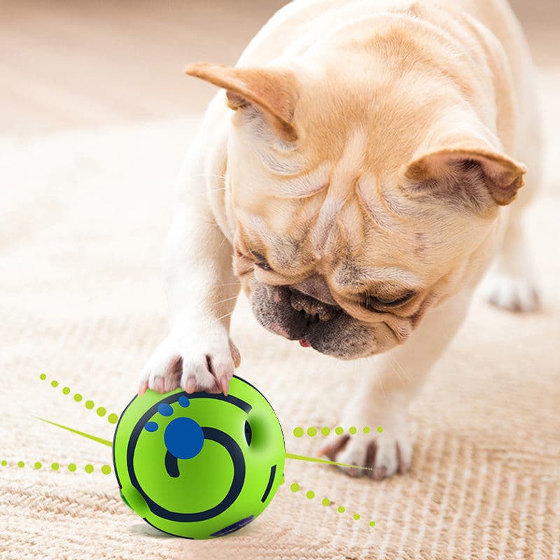 Interactive Dog Toy Ball thumbnail 2