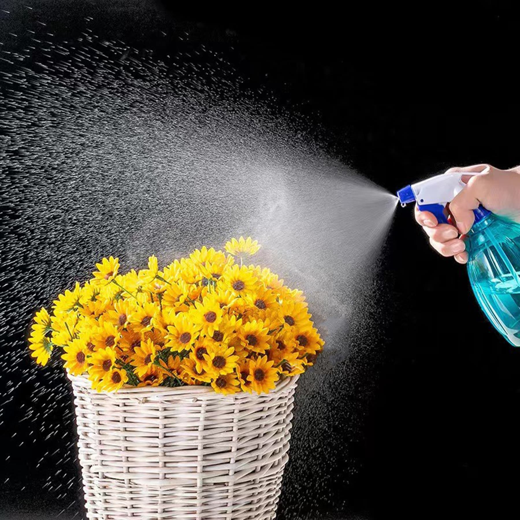 Plastic Watering Can