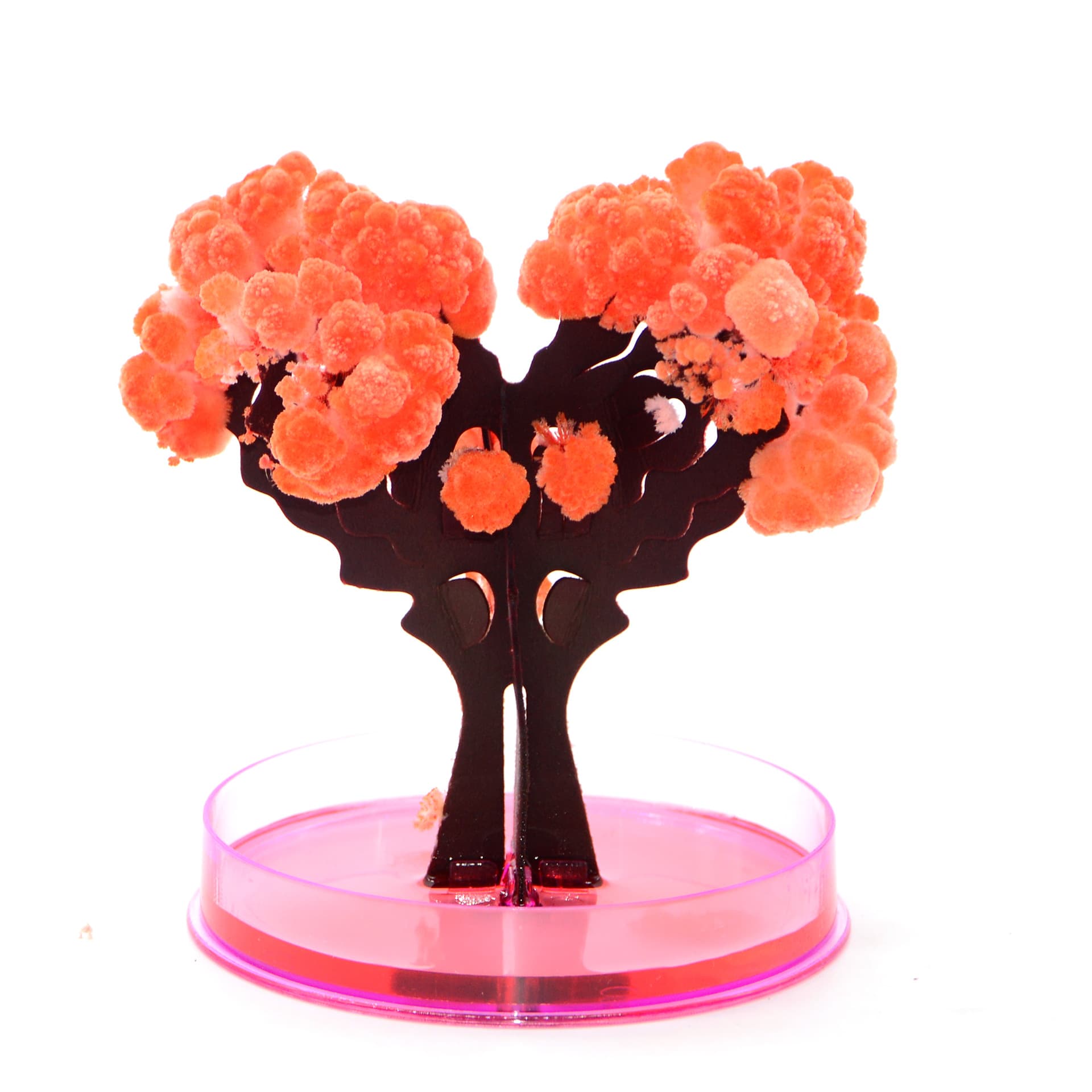 Magic Paper Growing Tree thumbnail 13