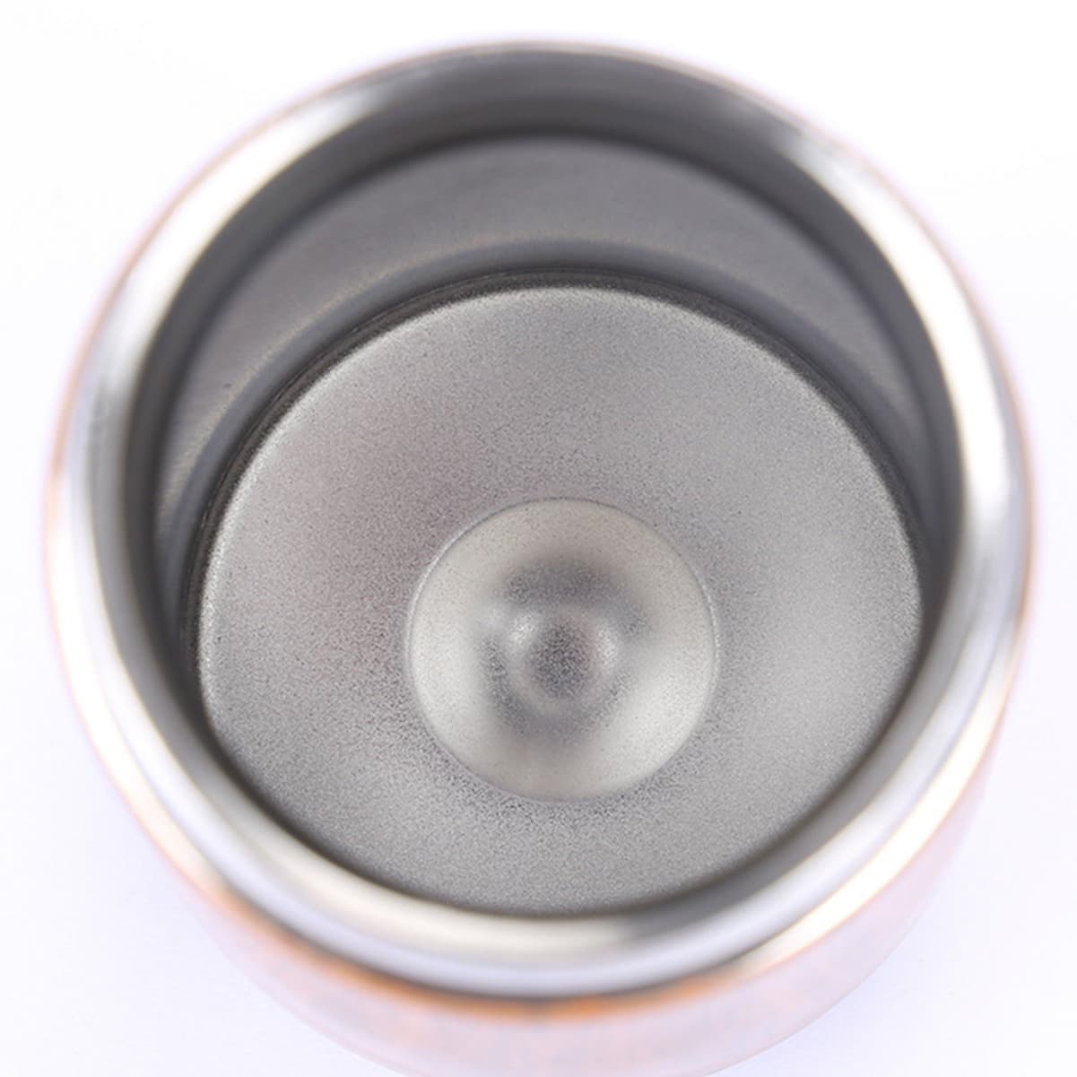 16 Oz Stainless Steel Traveler Water Bottle