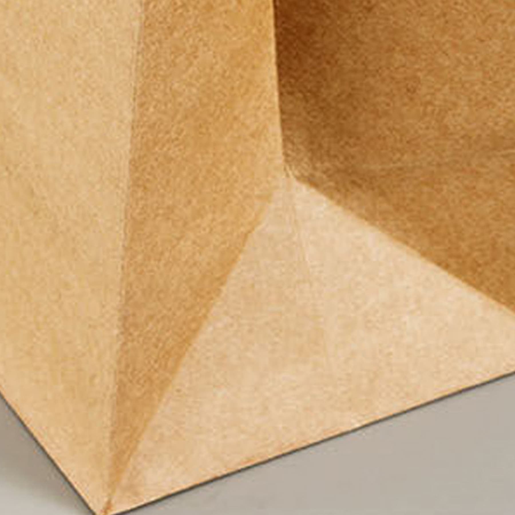 Kraft Paper Take-Out Bag
