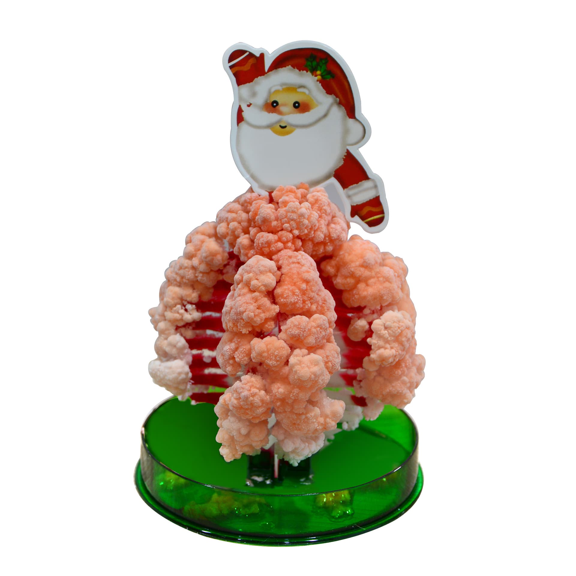 Magic Paper Growing Tree thumbnail 11