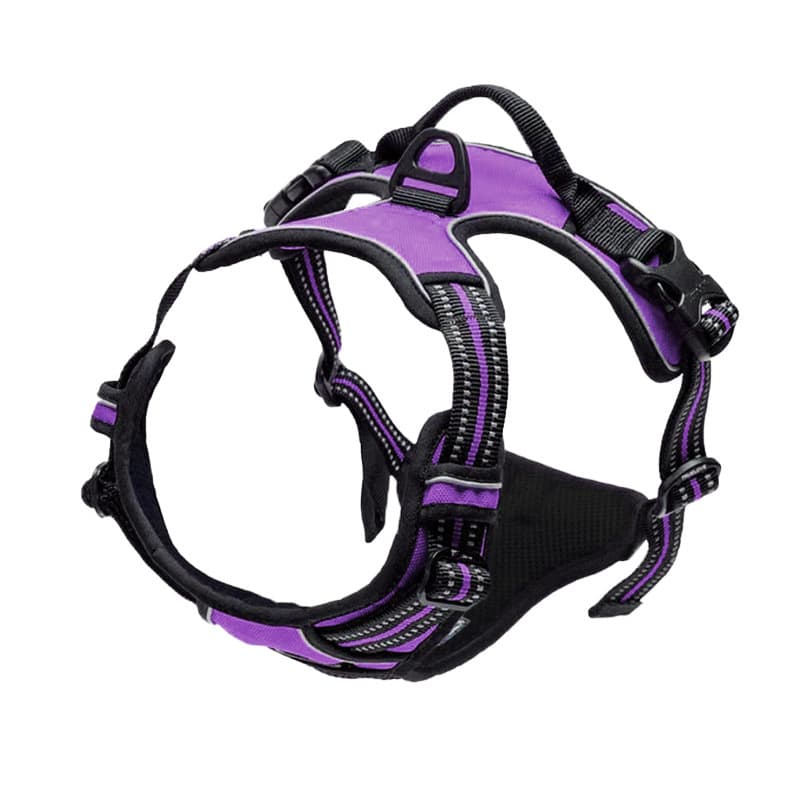 No Pull Adjustable Dog Harness thumbnail 9