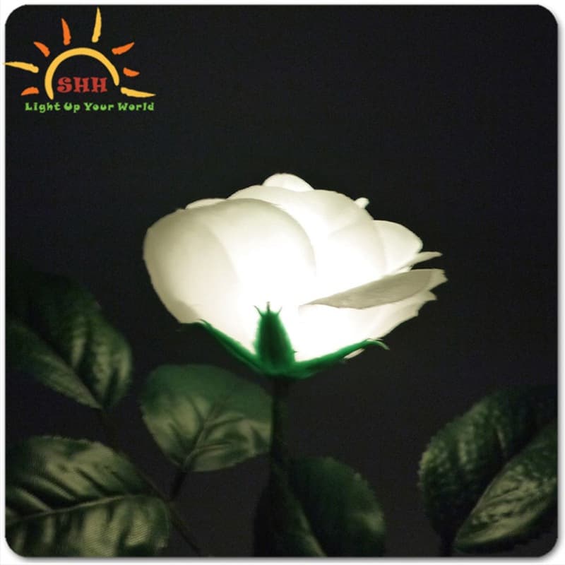 Light-Up Rose Multicolor thumbnail 3