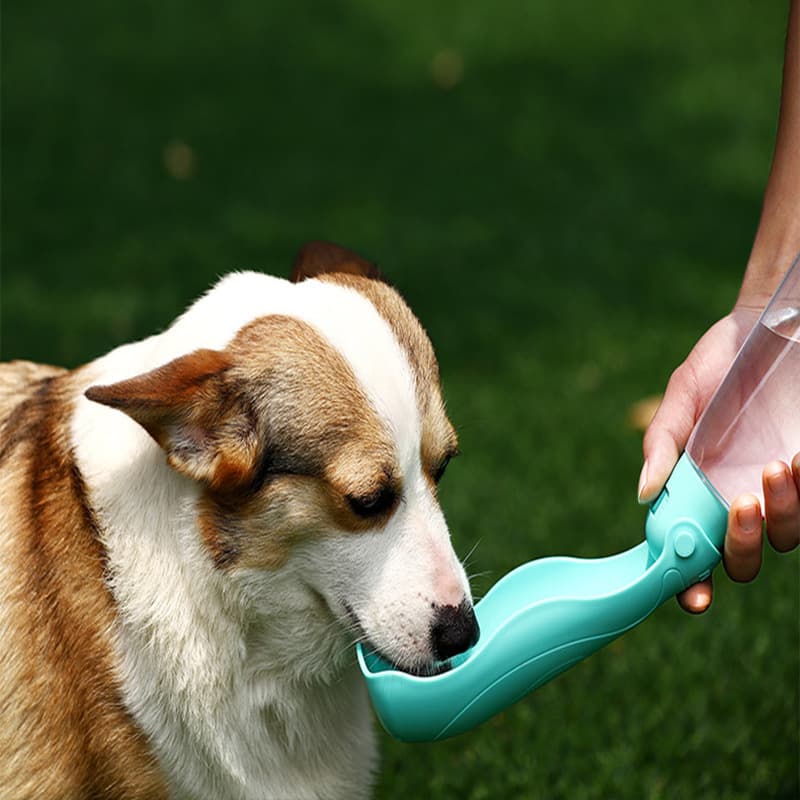 Dog Portable Pet Water Cup thumbnail 2