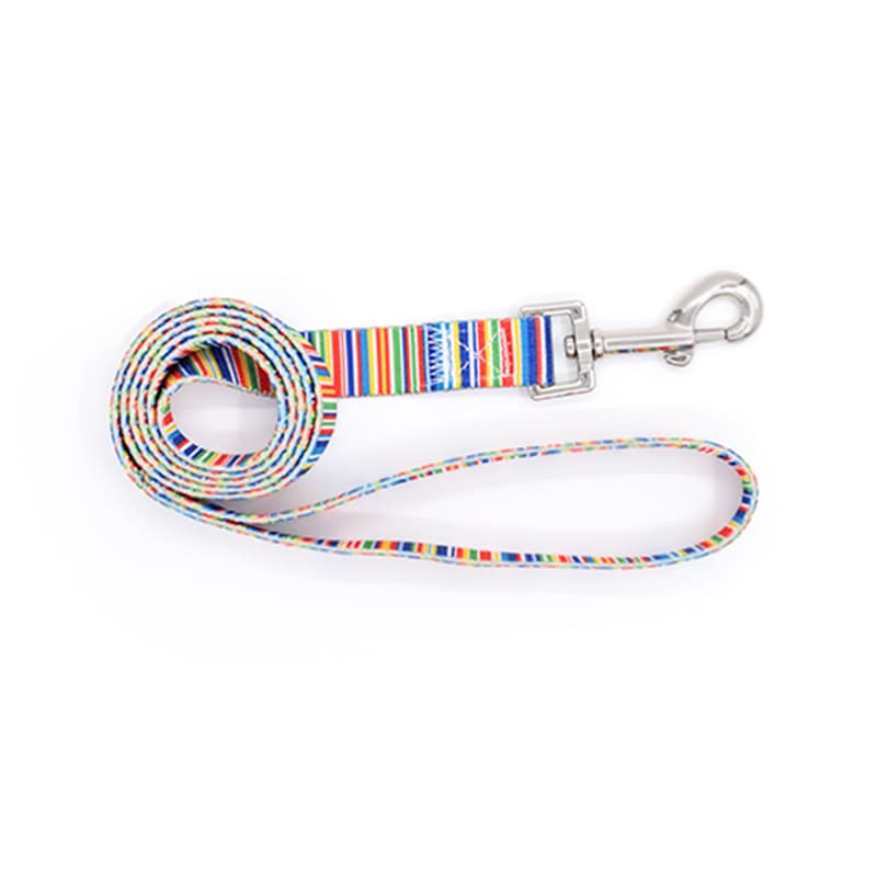 Pet Leash And Collar Set With Buckle