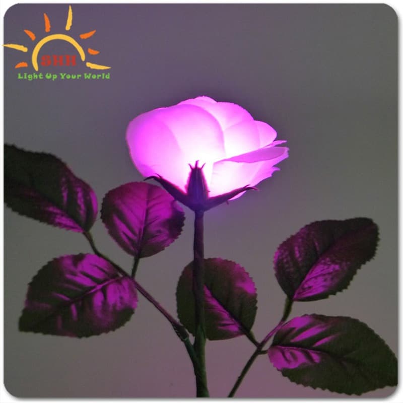 Light-Up Rose Multicolor thumbnail 2