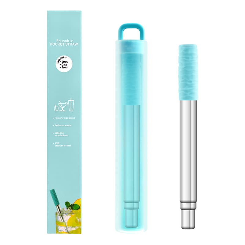 Collapsible Stainless Steel Straw Kit