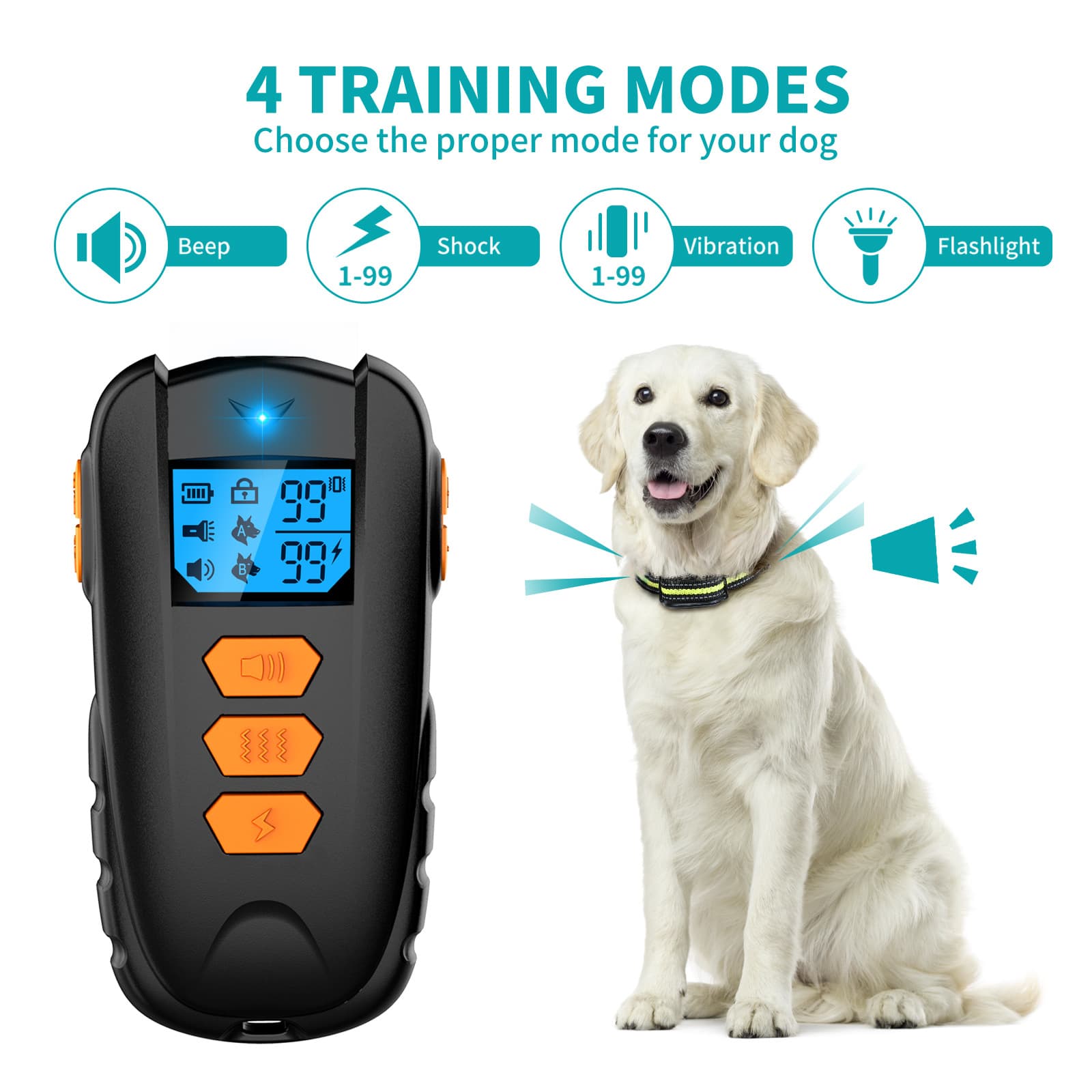 Dog Training Collar with Remote thumbnail 6