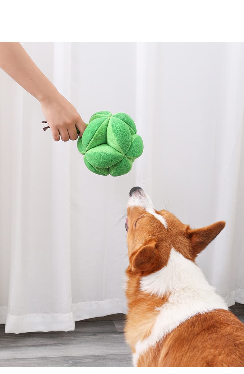 Polyester Creative Broccoli Leakage Food Toy thumbnail 3