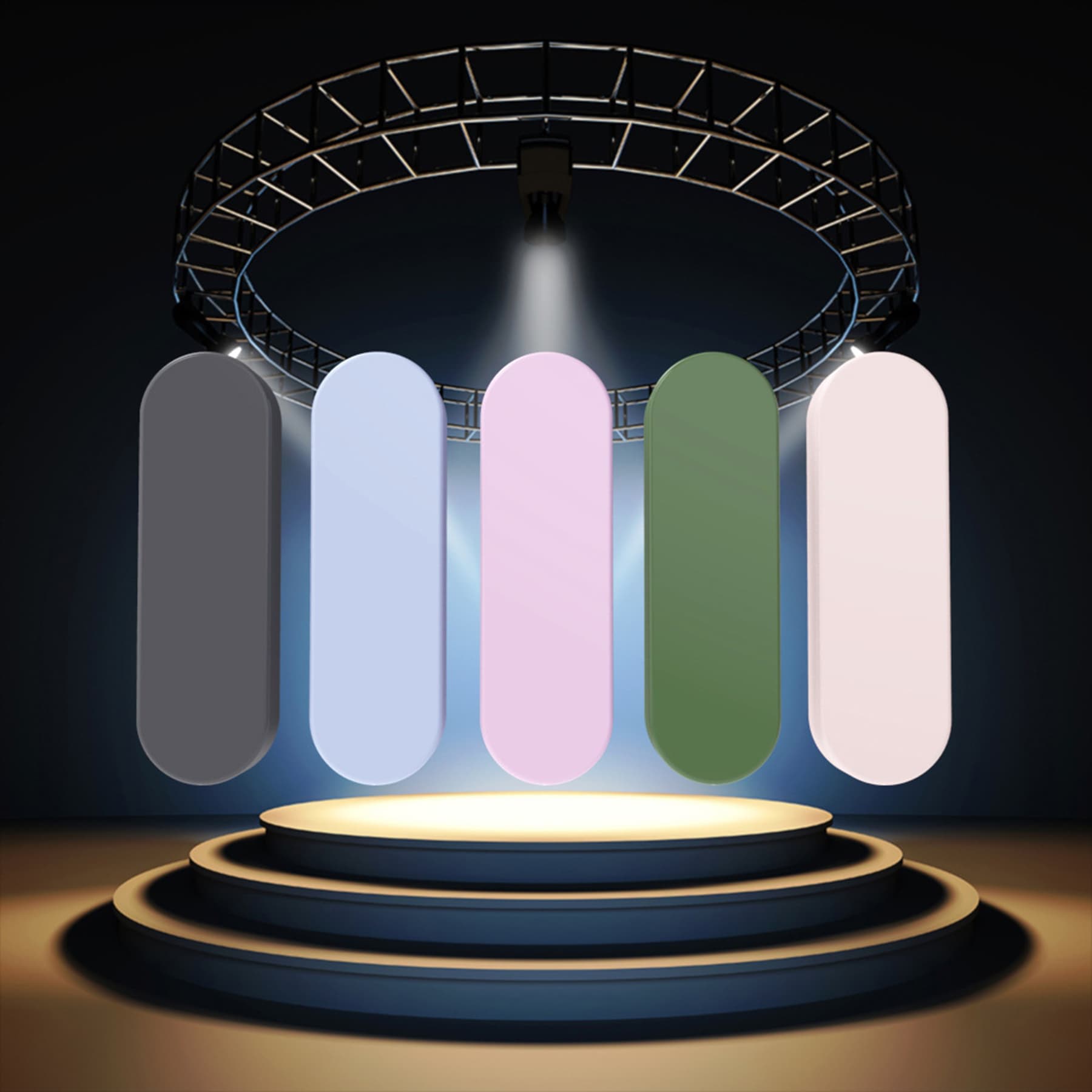 Reusable Silicone Cleaning Swab With Case