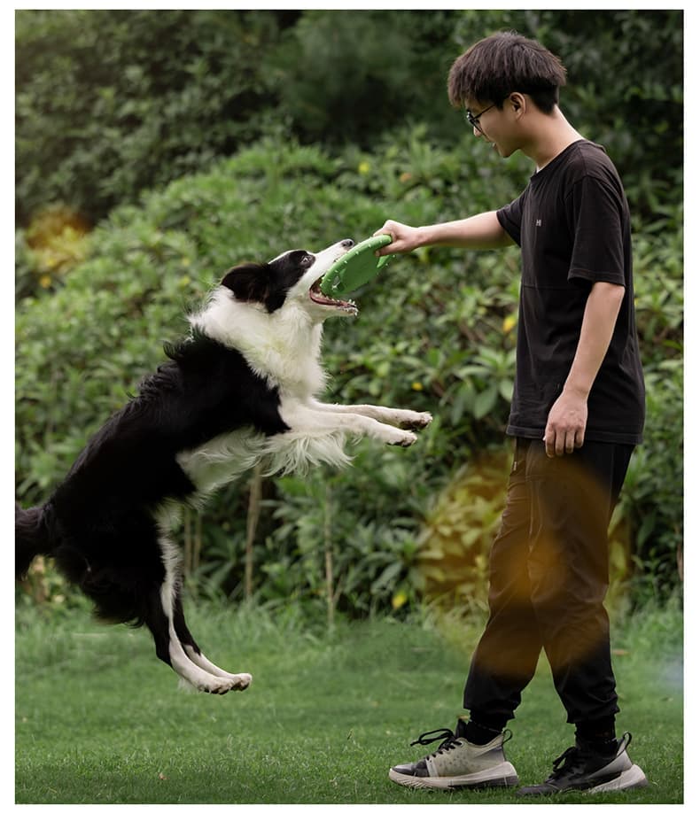 Pet Interactive Toys Flying Saucer thumbnail 4