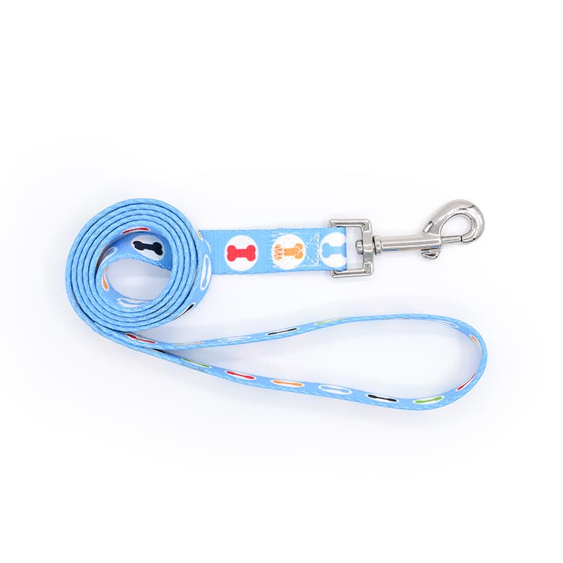 Pet Leash And Collar Set With Buckle thumbnail 3