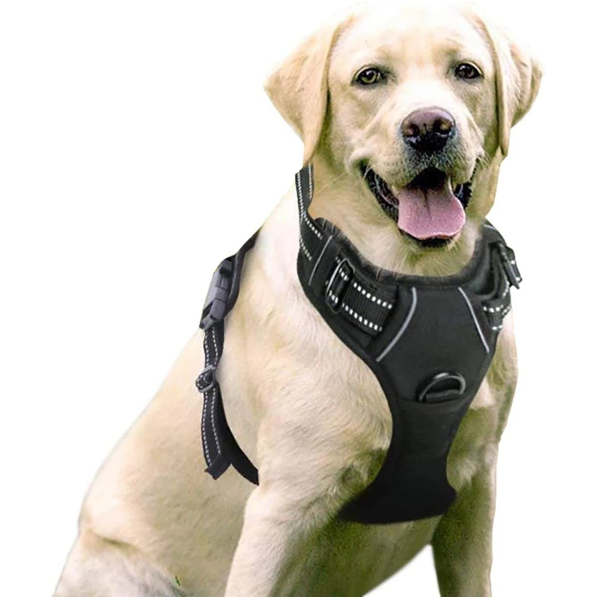 No Pull Adjustable Dog Harness thumbnail 2