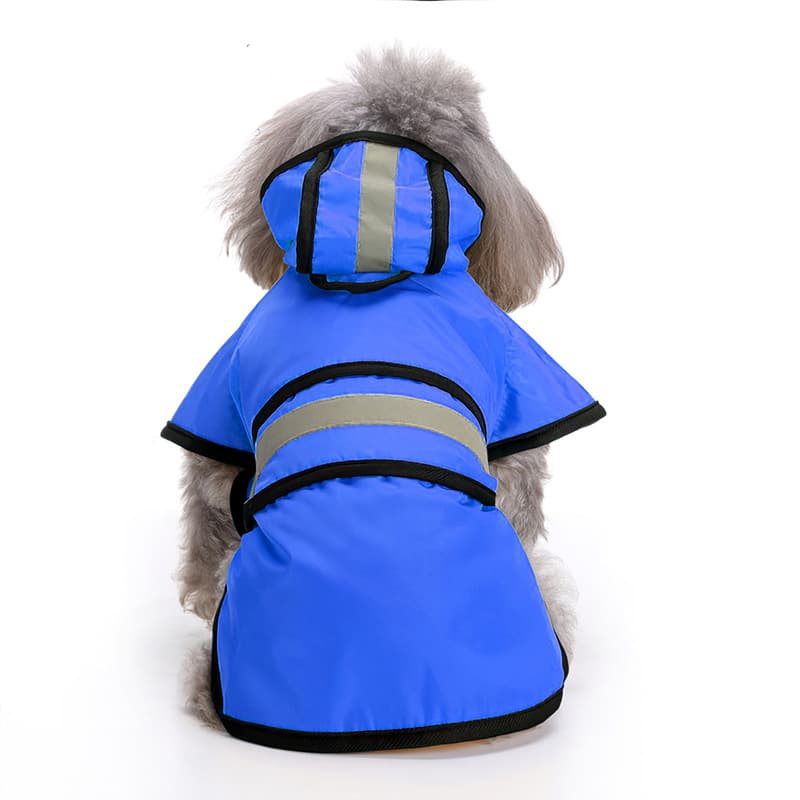 Raincoats For Small Dogs thumbnail 3