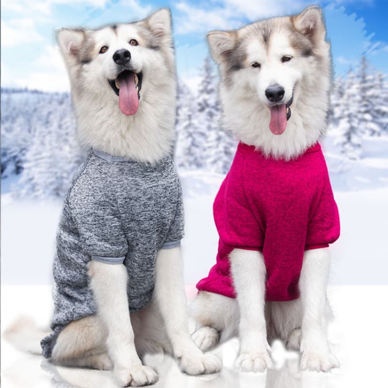 Letters Winter Pet Dog Hoodies Cotton Warm Clothes thumbnail 7