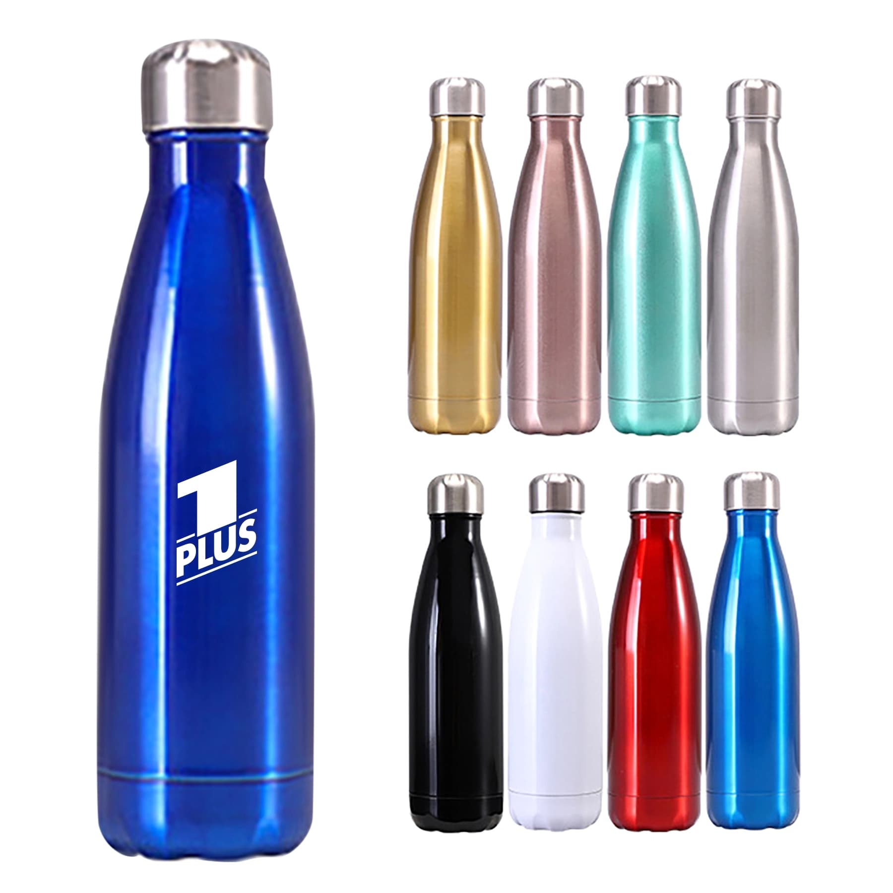 Insulated Water Bottle