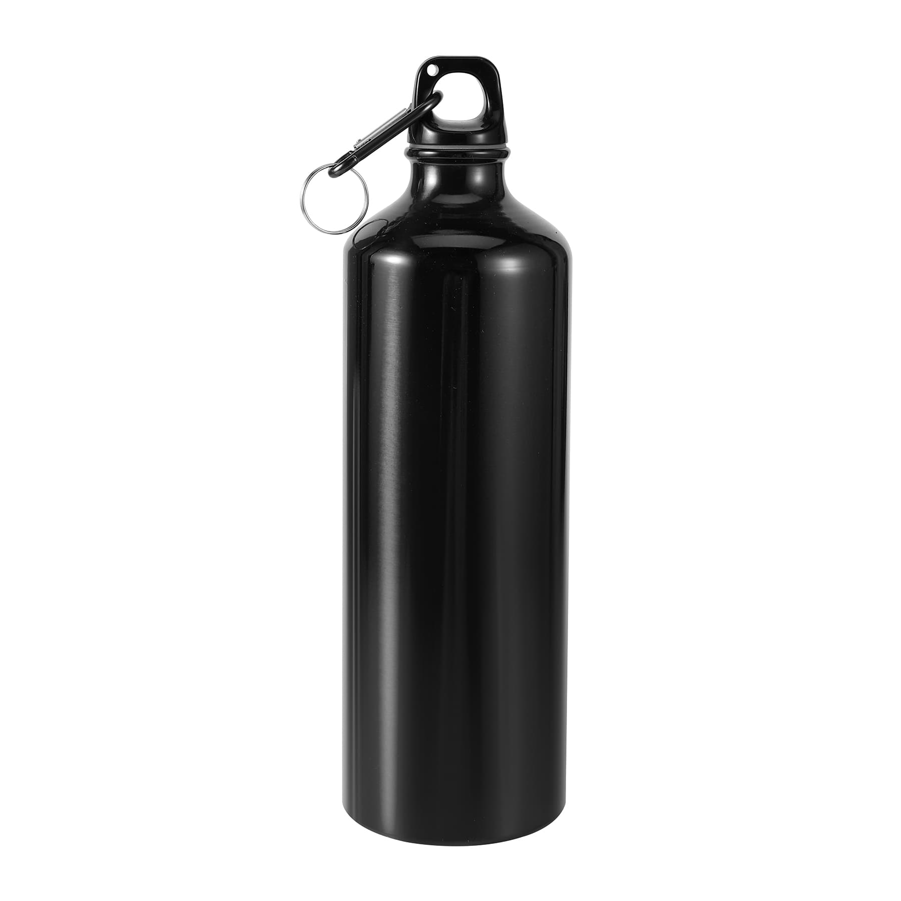STAINLESS STEEL WATER BOTTLE WITH CARABINEER