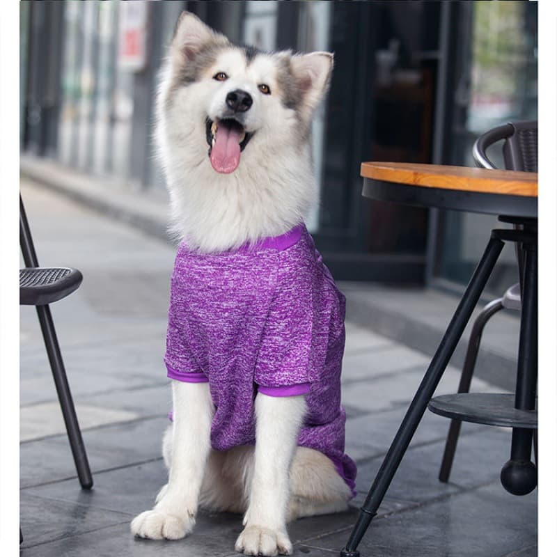 Letters Winter Pet Dog Hoodies Cotton Warm Clothes thumbnail 6