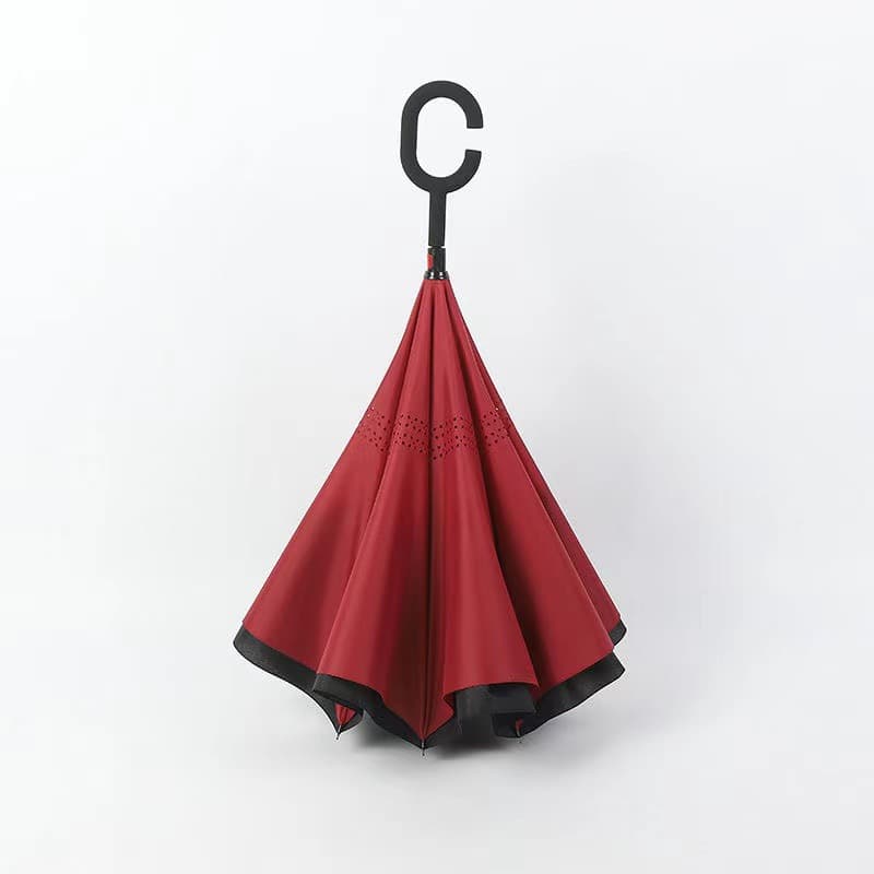 The Rebel thumbnail 5