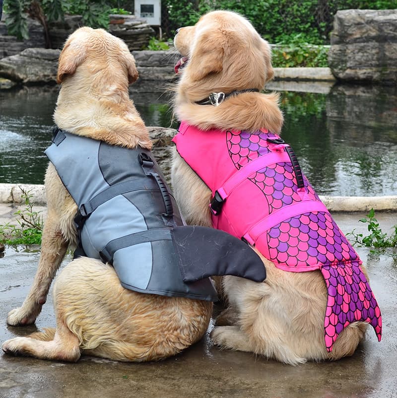 Dog Swimming Training Jacket