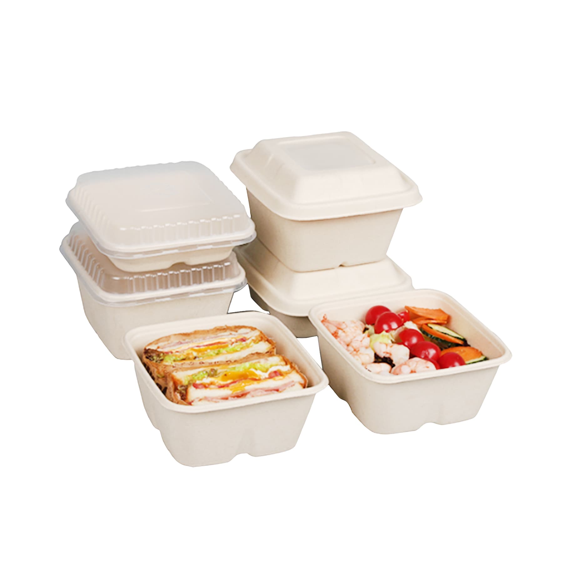 Disposable Meal Box Biodegradable