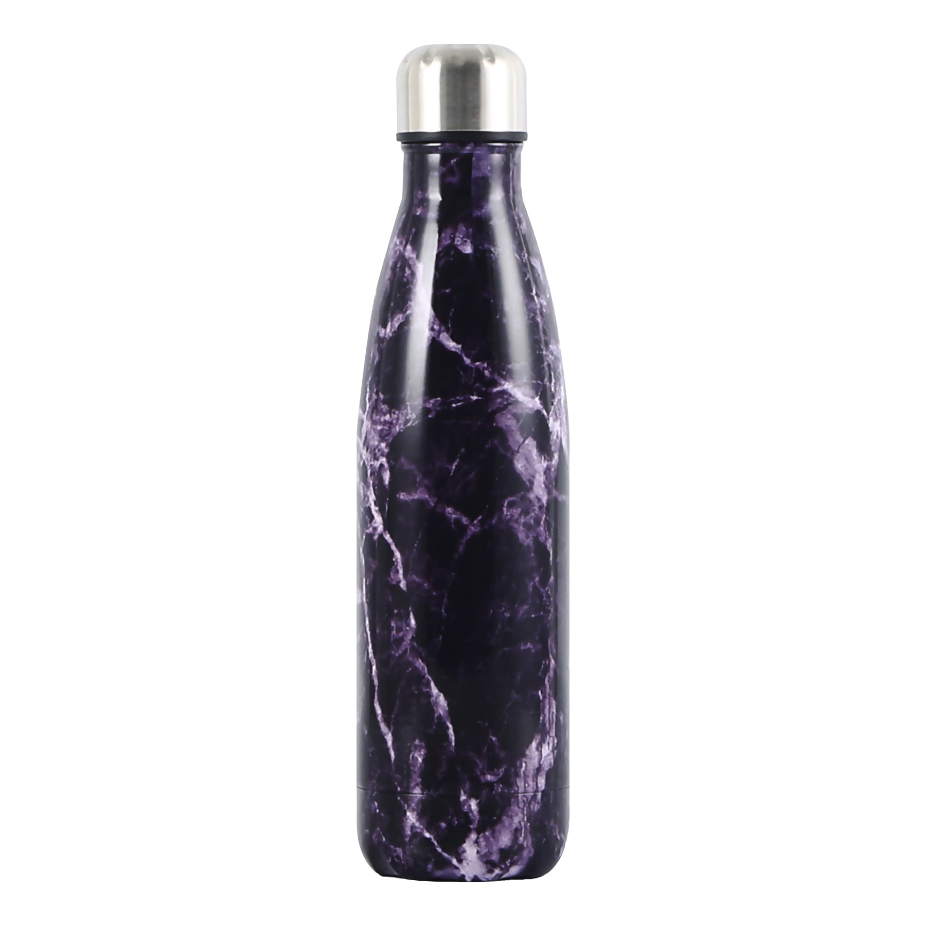 Insulated Stainless Steel Water Bottle