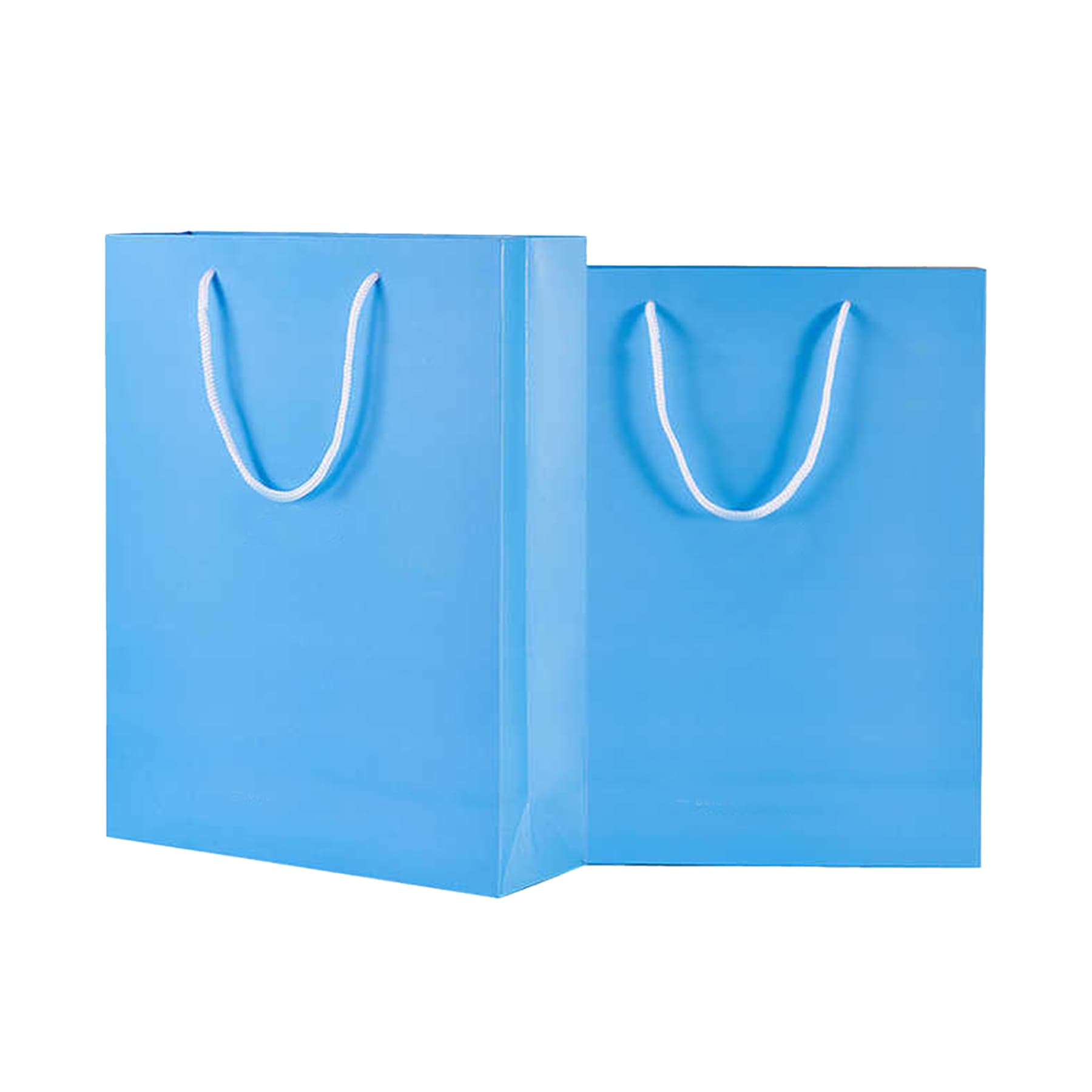 Vertical Matte Laminated Euro Tote Bag
