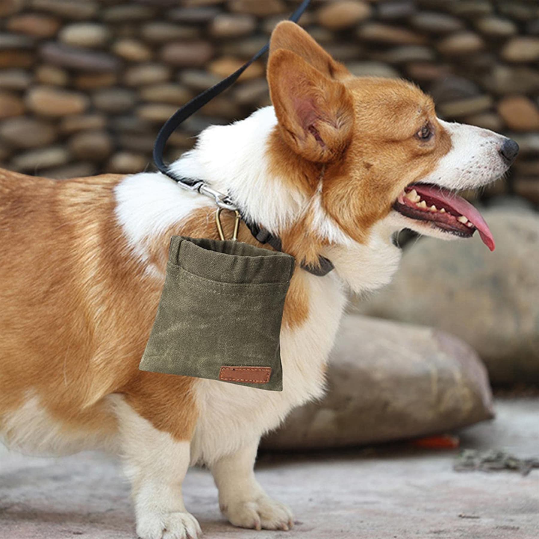 Pet Training Waterproof Feeding Bag