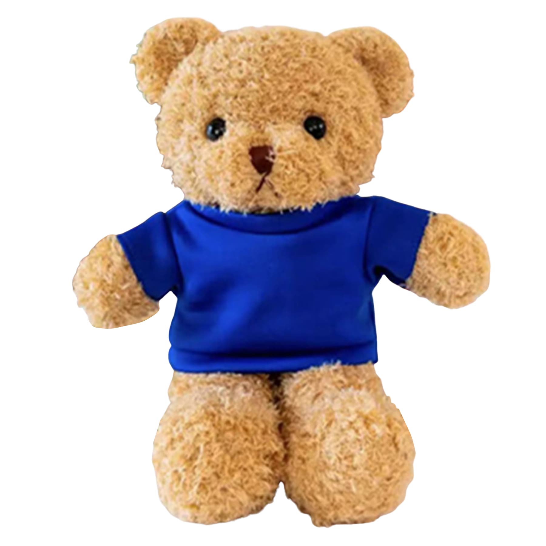T-Shirt Teddy Bear