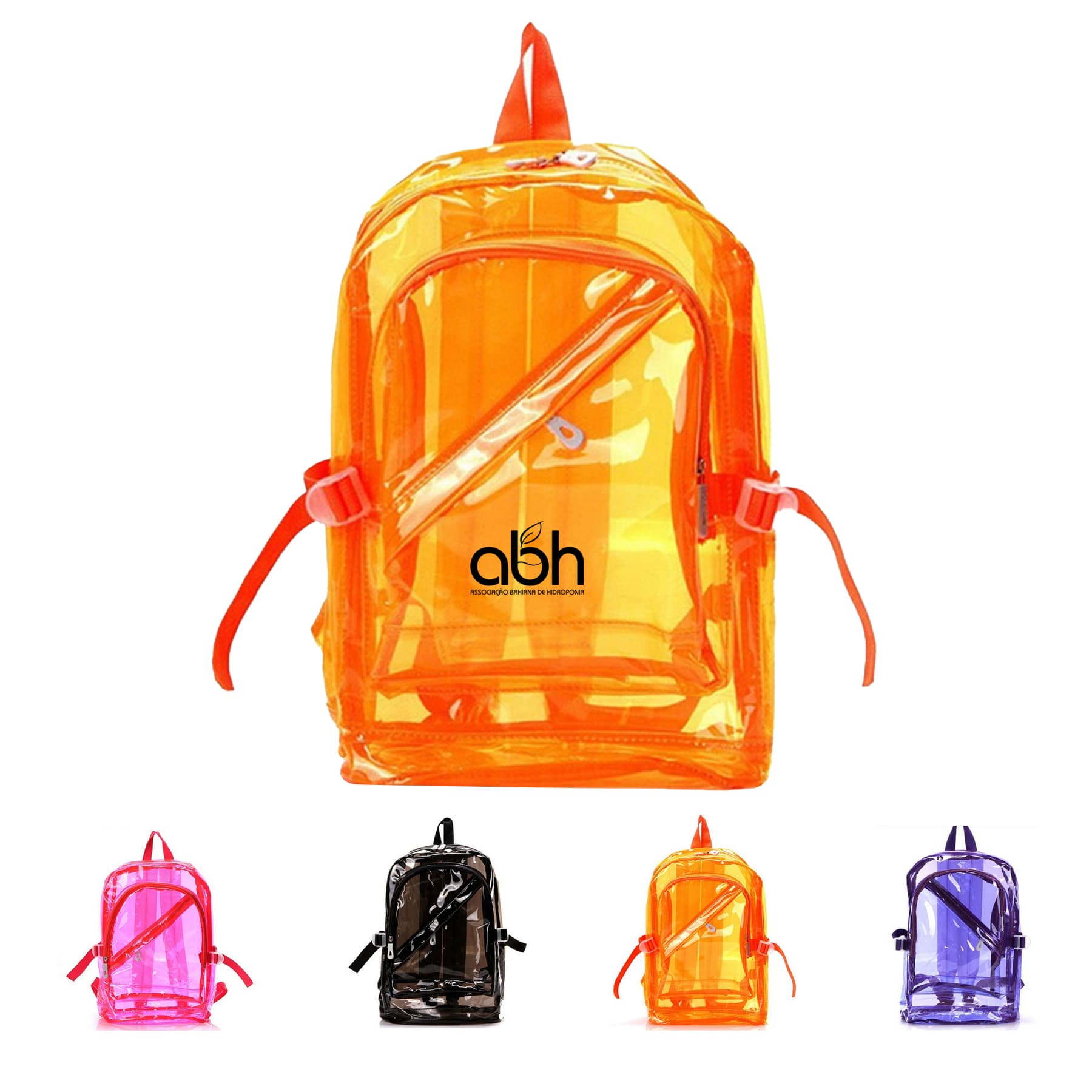 Translucent School Backpack