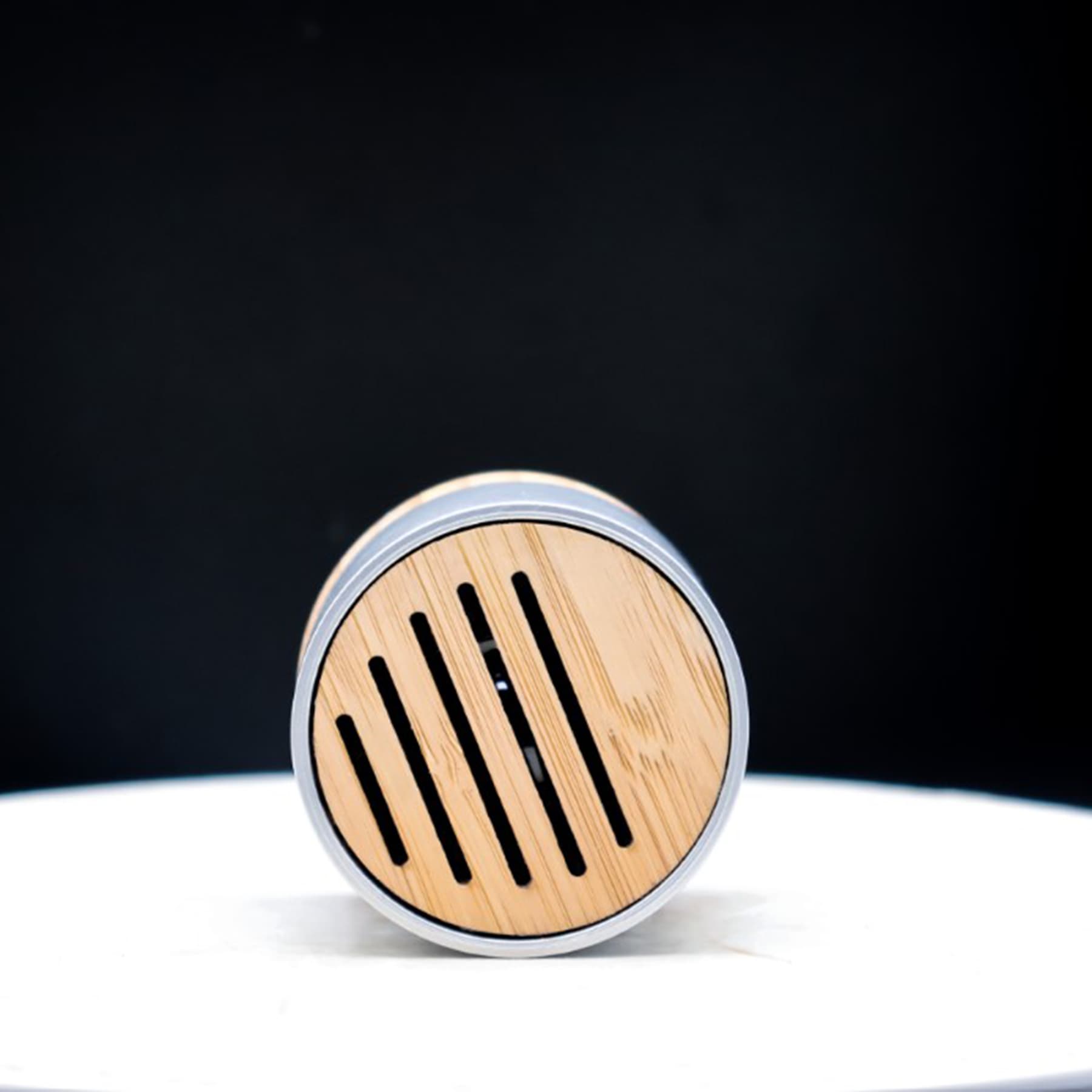 Mini Bluetooth Speaker