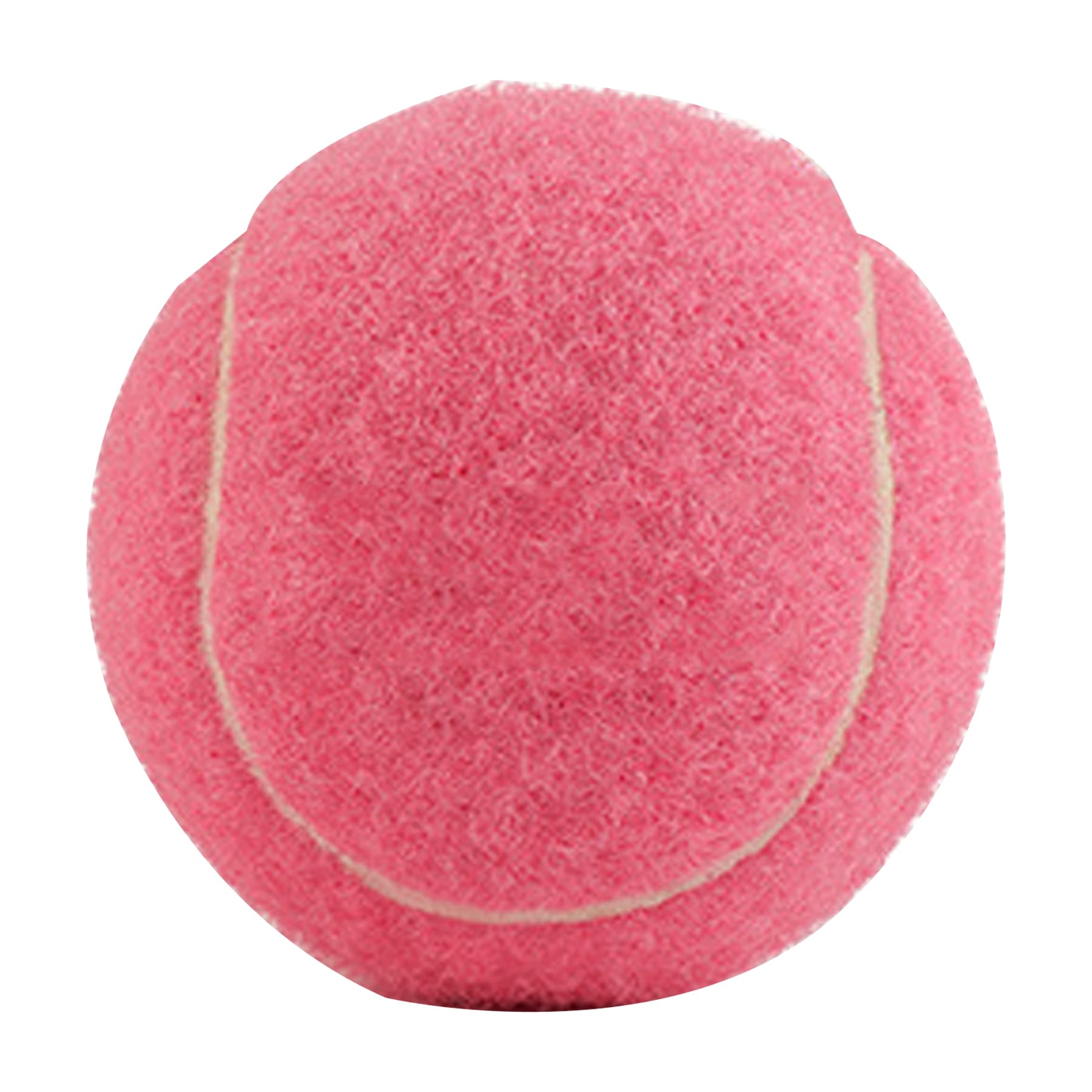 Full Color Pet Training Tennis Ball