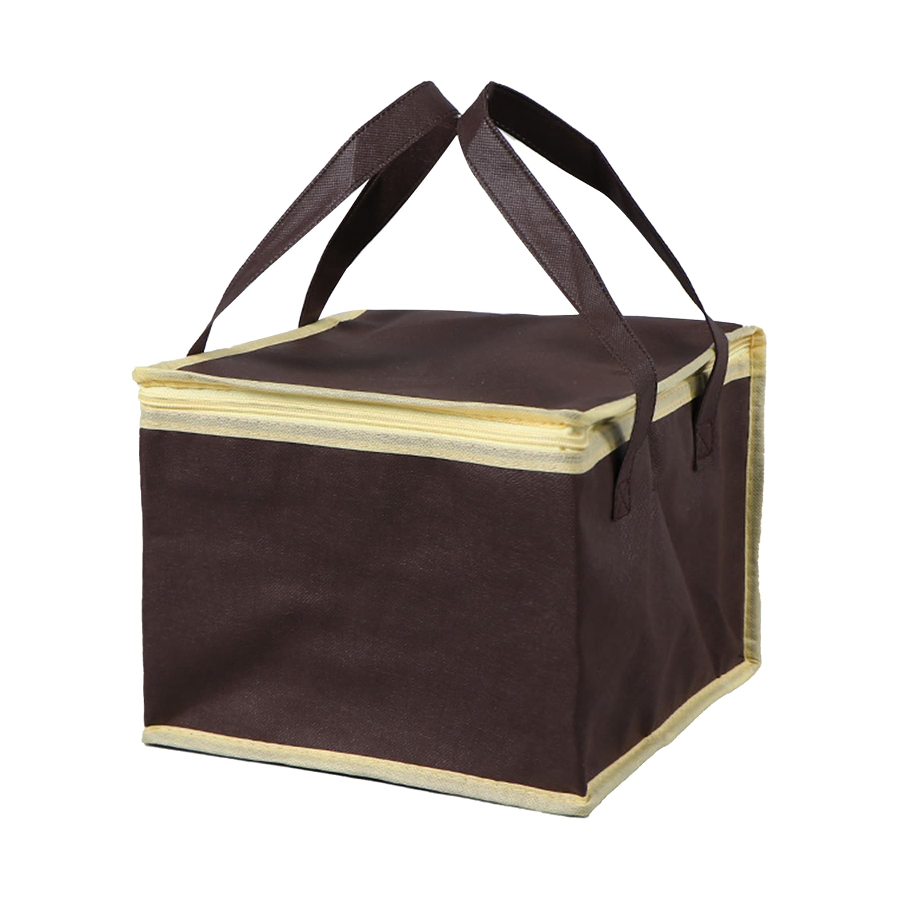6 Pack Cooler Lunch Bag